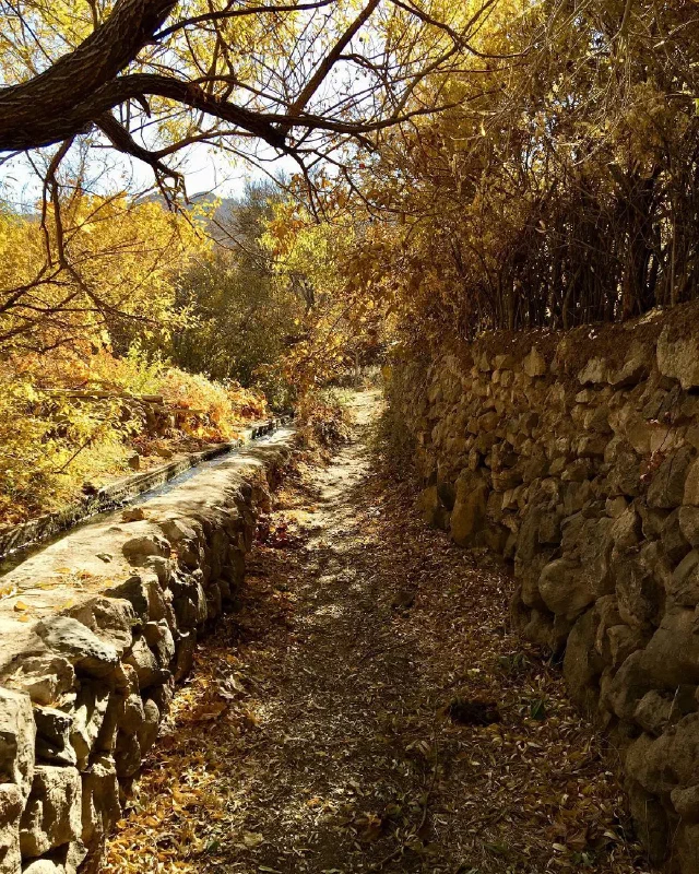 مسیر پوشیده از برگ میان دیوارهای سنگی و زیر شاخه‌هایی با برگ زرد